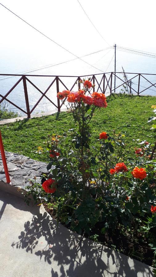 Casa Villa Dinastia Sotao Y Casa Villa Dinastia Miramar Ribeira Brava Esterno foto