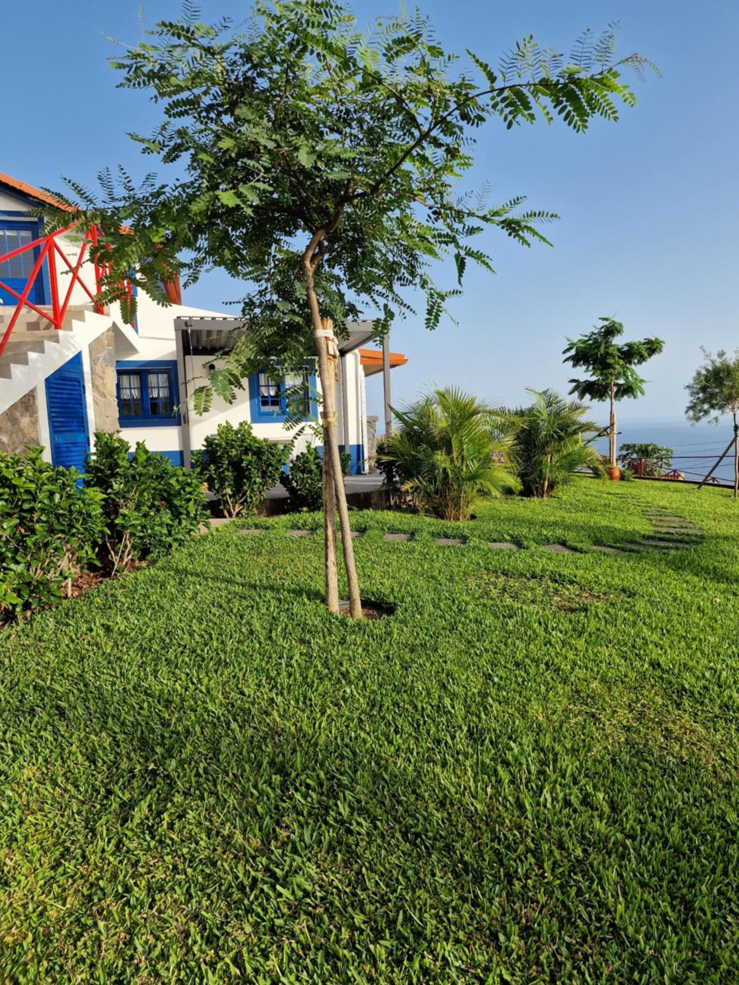 Casa Villa Dinastia Sotao Y Casa Villa Dinastia Miramar Ribeira Brava Esterno foto