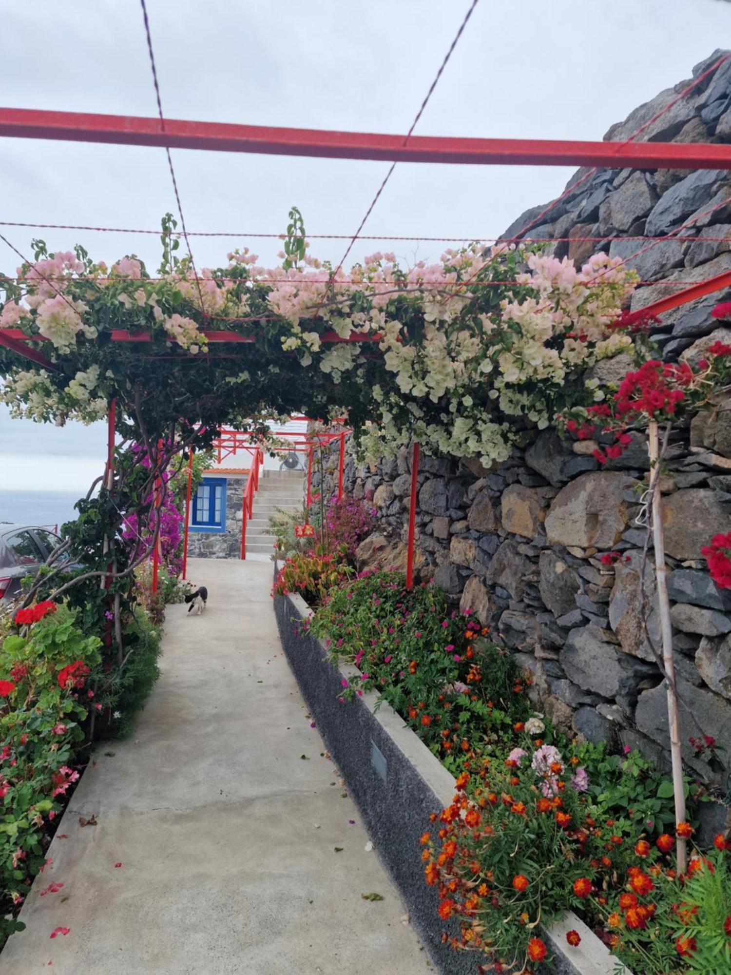 Casa Villa Dinastia Sotao Y Casa Villa Dinastia Miramar Ribeira Brava Esterno foto